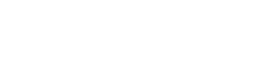 Acer logo